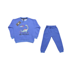 Sweatshirt and Joggers Set