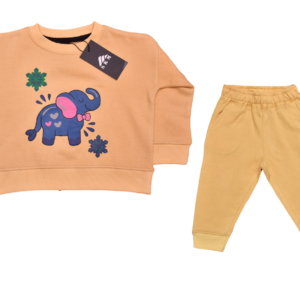 Kids Sweatshirt & Joggers Set