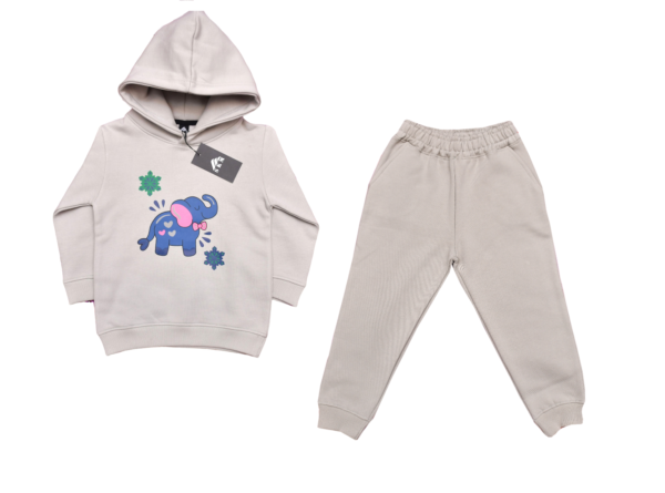 Kids Hoodie and Joggers Set